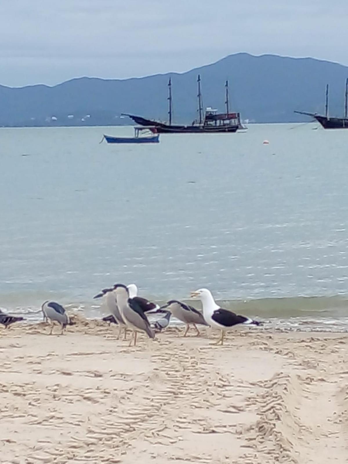 Dos Sonhos Florianopolis